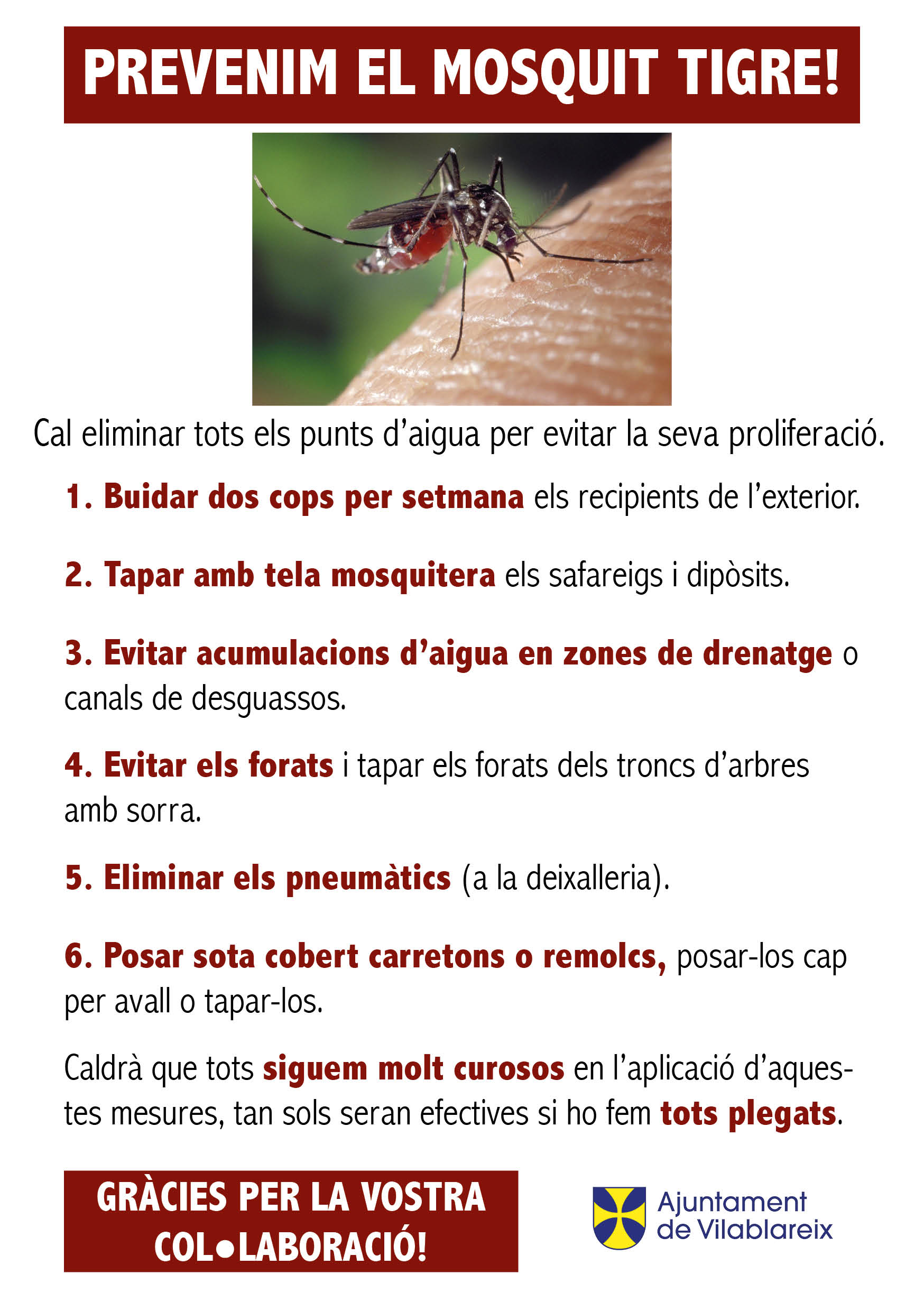 Prevenció mosquit tigre