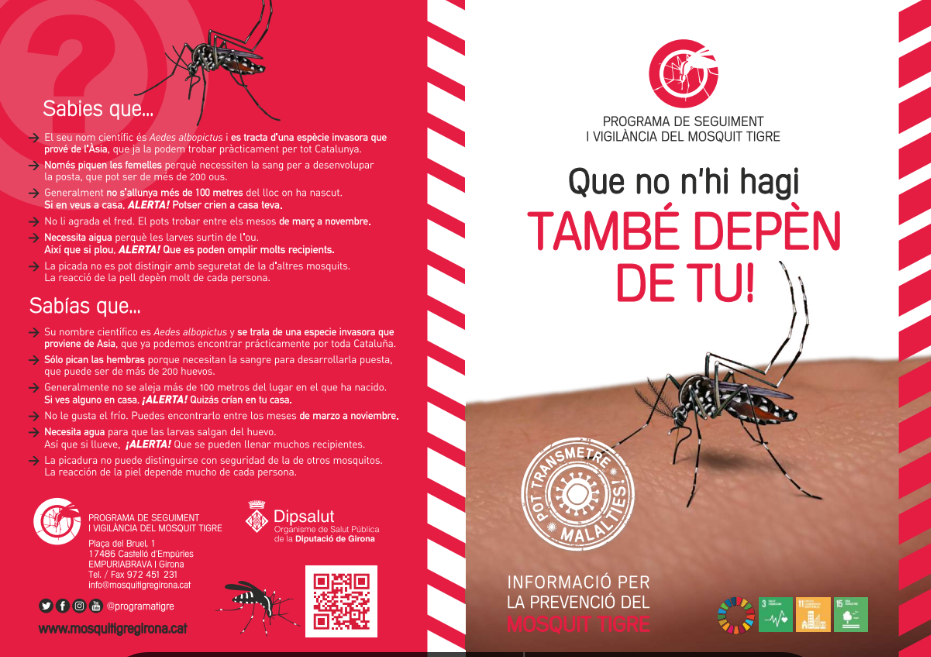 fulletó mosquit tigre
