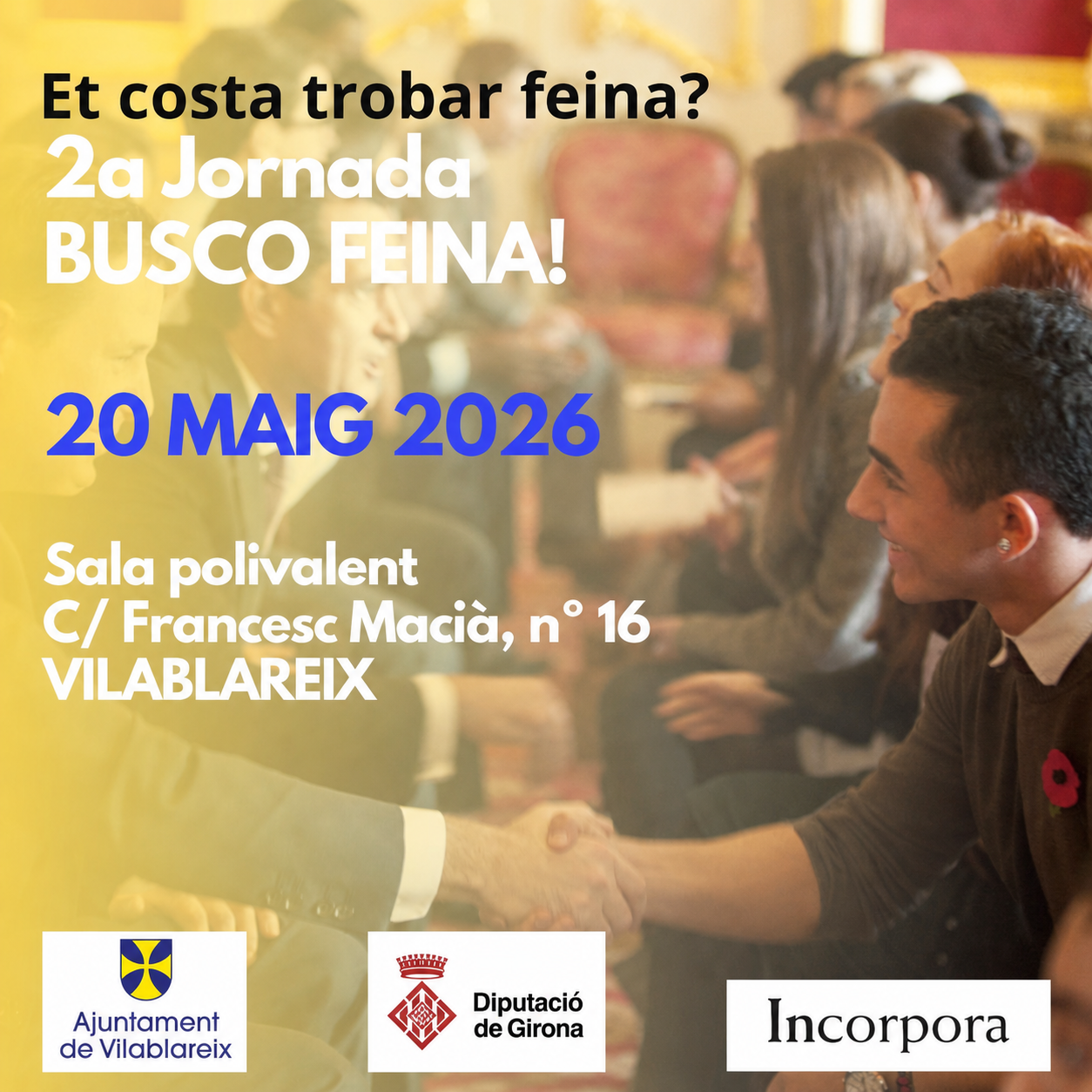buscarfeina