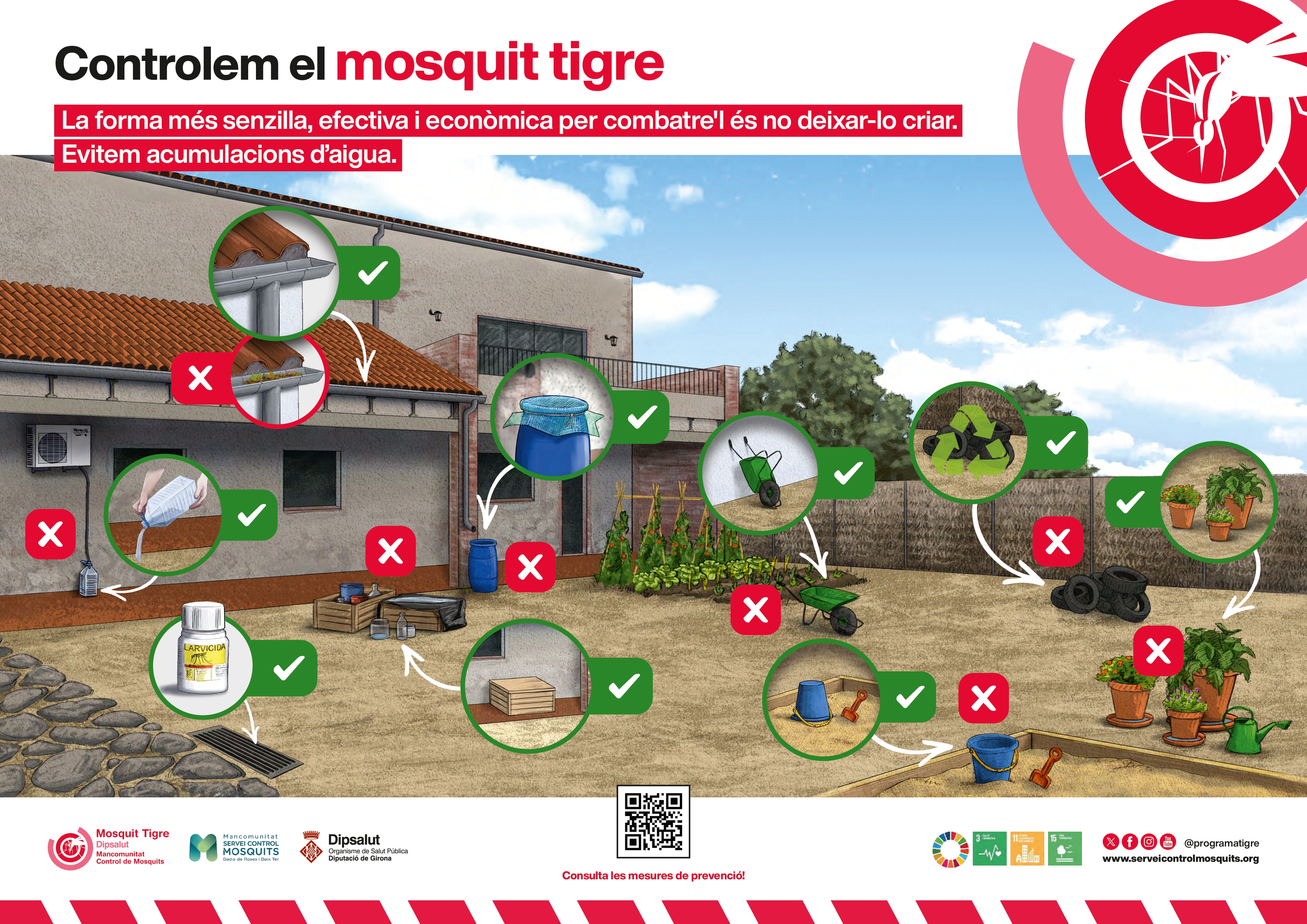 moquit tigre