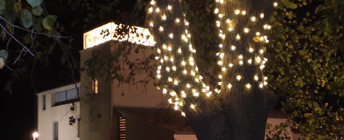 El til·ler de Can Gruart il·luminat per les festes. 