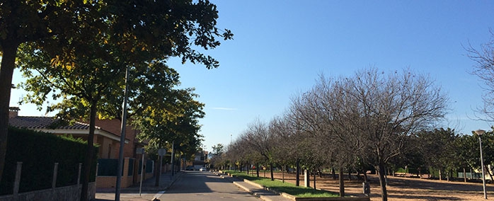 L'Ajuntament poda els arbres de diversos carrers del poble.