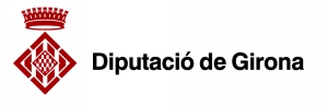 Logo diputació