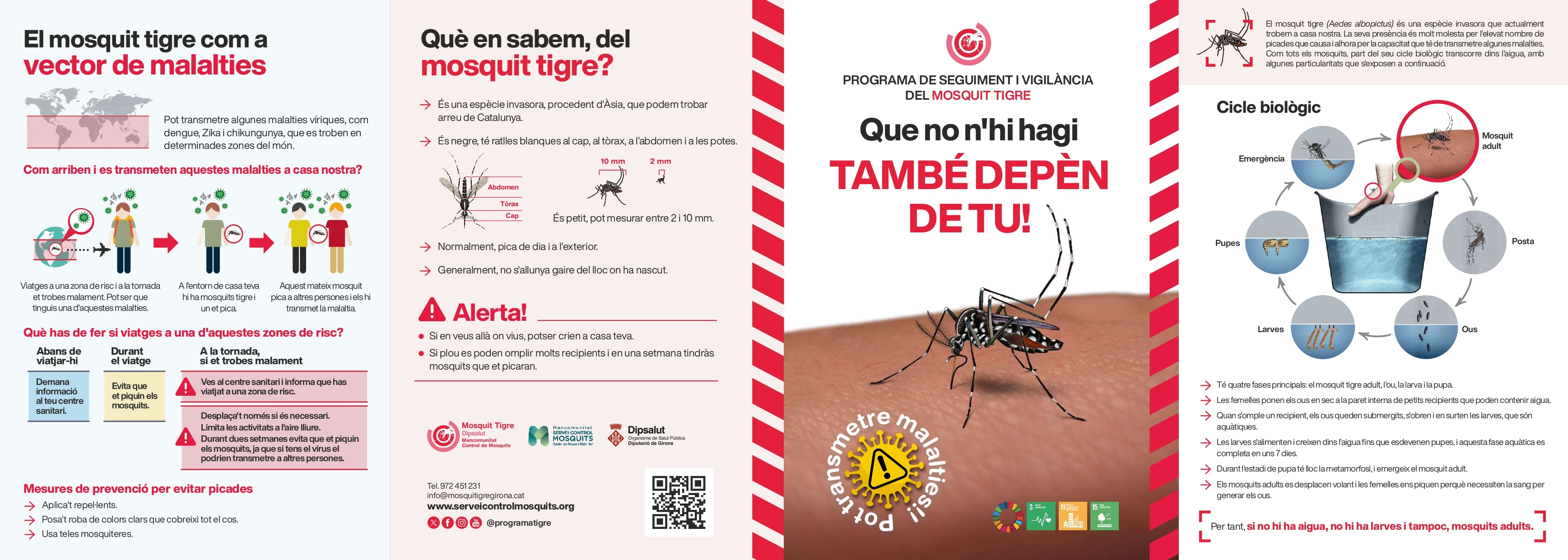 mosquit1