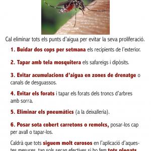 Prevenció mosquit tigre
