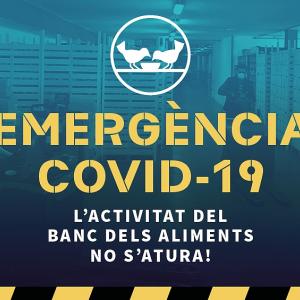 Recollida banc dels aliments