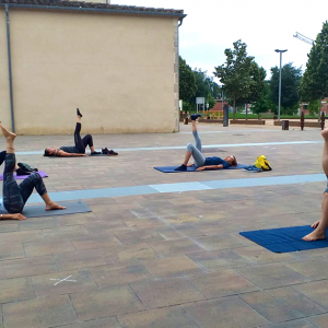 Activitats trimestrals