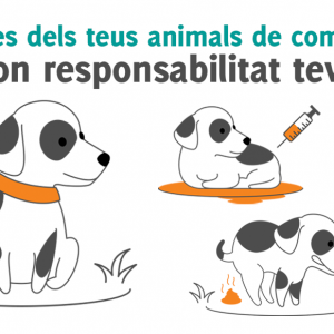 Campanya animals de companyia