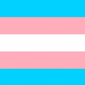 Taula rodona Visibilitat trans
