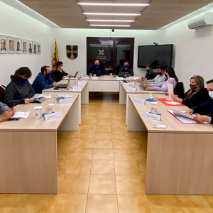 Ple març Vilablareix