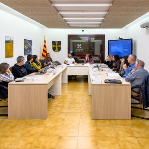 ple novembre vilablareix