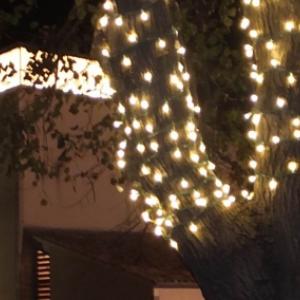 El til·ler de Can Gruart il·luminat per les festes. 