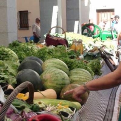 Nou concurs de guisats per la Fira de tardor.